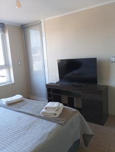 Μια τηλεόραση ή/και κέντρο ψυχαγωγίας στο Departamentos Pehumayen +17 φωτογραφίες