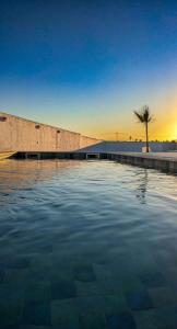 a pool of water in front of a wall with a palm tree at Djerba Dar Iyad in Mezraya