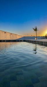 a pool of water with a palm tree and a building at Djerba Dar Iyad in Mezraya