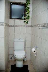 a bathroom with a toilet and a window and a plant at Villa Ndahafa in Ongwediva