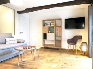TV a/nebo společenská místnost v ubytování BergArt