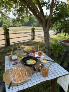 Jídlo v penzionu nebo okolí + 36 fotografií