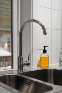 a kitchen sink with a soap bottle on it at Northern Lights View Beautiful Berg in Kuberg