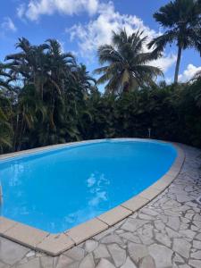 une piscine bleue avec des palmiers en arrière-plan dans l'établissement Cas'à Willy, à Sainte-Rose