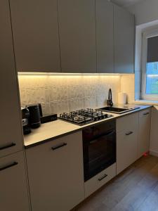 Kuchyň nebo kuchyňský kout v ubytování Apartament Staffa