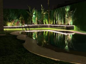 ein Teich in einem Garten bei Nacht mit Lichtern in der Unterkunft 7 BR Smart House with Heated Pool, Waterfall, Garden in Kairo
