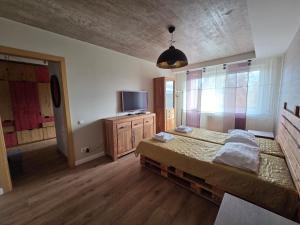 a bedroom with a large bed and a television at Apartamentai 78 in Mažeikiai