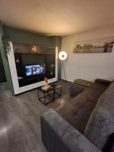 TV a/nebo společenská místnost v ubytování Appartement FLORILOFT