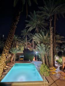 - une piscine bordée de palmiers la nuit dans l'établissement Chez Ali, à Zagora