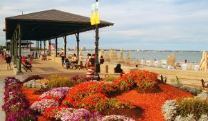 Fotografie z fotogalerie ubytování Private Room and Bathroom in Revere v destinaci Revere + 15 fotografií