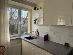 Kuchyň nebo kuchyňský kout v ubytování Calm Stay Teika Apartment + 12 fotografií