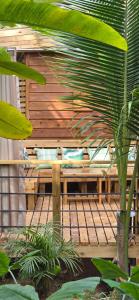 Foto dalla galleria di Bamboo Lodge a Bocas del Toro