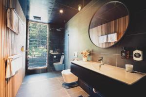 a bathroom with a sink and a mirror and a toilet at Willow at Barranca - Luxury Villa in Barrengarry