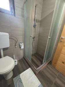 a bathroom with a shower and a toilet at Bungalow Jajce 2 in Jezero +51 photos