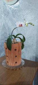 a cake with a pot with flowers in it at Loft espaçoso e confortável in Três Marias +4 photos