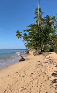 Fotografie z fotogalerie ubytování Villa Brisa del Caribe v destinaci Las Terrenas