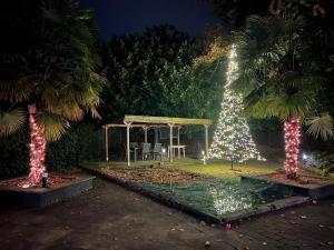 Ein Weihnachtsbaum und ein Pavillon in einem Garten bei Nacht in der Unterkunft Vakantiehuisje Ommen in Ommen
