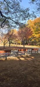 Fotografie z fotogalerie ubytování 늘 오늘처럼 v destinaci T'odang-dong