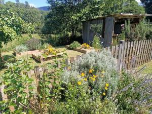Zahrada ubytování Light-filled Nature Haven Eco Home