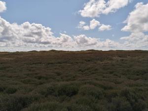 an open field with grass and clouds in the sky at 7 person holiday home in Henne-By Traum in Henne Strand