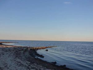 Naturlandskabet i nærheden af feriehuset + 36 billeder