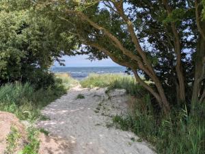 Naturlandskabet i nærheden af feriehuset
