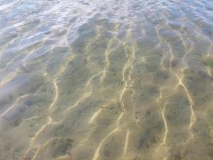 Naturlandskabet i nærheden af feriehuset