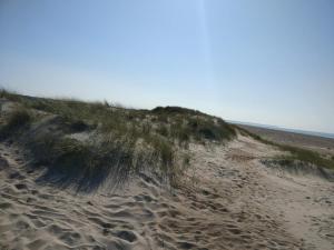 a sand hill with grass on it next to a beach at Charming Beach Retreat - By Traum Ferienwohnungen in Fjerritslev