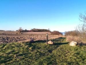 Naturlandskabet i nærheden af feriehuset