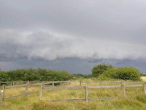Naturlandskabet i nærheden af feriehuset