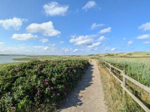un chemin à travers un champ de fleurs à côté d'une clôture dans l'établissement 5 person holiday home in Harboøre, à Harboør