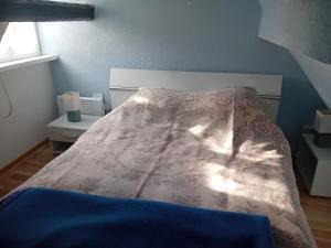 ein Schlafzimmer mit einem Bett mit einer Decke darauf in der Unterkunft Appartement T2 44 m2 in Kesseldorf