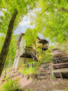 Příroda nedaleko prázdninového domu