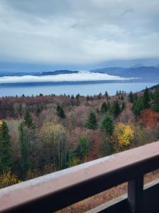Blick auf den See vom Balkon in der Unterkunft Le Panoramic in Thollon