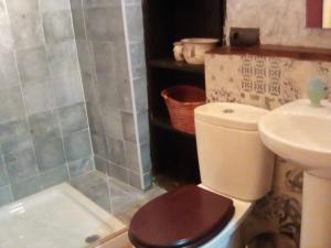 a bathroom with a toilet and a sink and a shower at Rincón del Bierzo in Borrenes