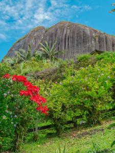 Příroda nedaleko apartmánu