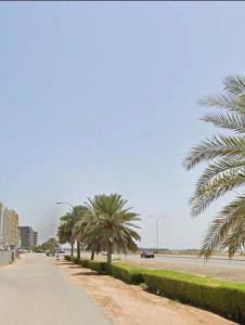 MawāliḩLuxury Rooms in Al Mouj Street - Excellent Location غرف فندقية راقية في شارع الموج - موقع مميز的一条在路边种有棕榈树的街道