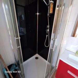 eine Dusche mit Glastür im Badezimmer in der Unterkunft Vasso 2 in Nancy