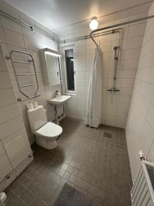 une salle de bains avec toilettes et lavabo dans l'établissement Noah longstay Kungsfågelgatan, à Västerås 48 autres photos