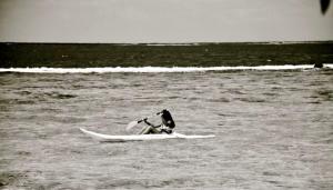 einem Hund, der auf einem Surfbrett im Wasser sitzt in der Unterkunft Marū Beach House in Afareaitu