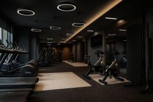 Fitness centrum a/nebo fitness zařízení v ubytování Hala Tysons