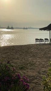 deux chaises et un parasol sur une plage dans l'établissement قرية النورس, à Ismaïlia