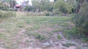 Ein Feld mit Gras und Unkraut, im Hintergrund ein Haus. in der Unterkunft casa fin de semana in Paraná