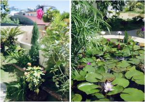 Zahrada ubytování Le Macaron Garden Stay - City Boutique Hotel Da Lat