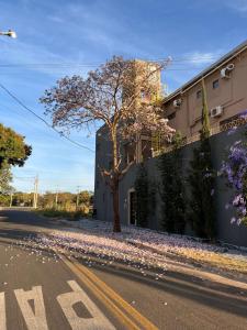 Η γειτονιά γύρω από ή μία γειτονιά κοντά σε αυτό το διαμέρισμα