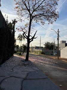 Η γειτονιά γύρω από ή μία γειτονιά κοντά σε αυτό το διαμέρισμα