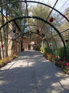 Κήπος έξω από το Loft 49 Valquirico