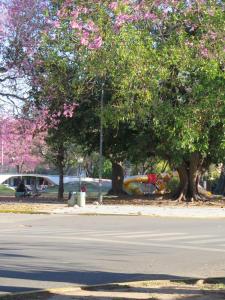 a park with trees and a playground with pink flowers at Departamento cálido y espacioso en Candioti in Vuelta del Paraguayo