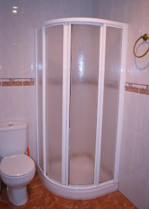 a bathroom with a shower and a toilet at Hostal Tarifa in Albaida