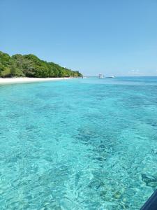 Φυσικό τοπίο κοντά σε αυτό το καταφύγιο +19 φωτογραφίες